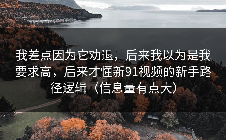 我差点因为它劝退，后来我以为是我要求高，后来才懂新91视频的新手路径逻辑（信息量有点大）